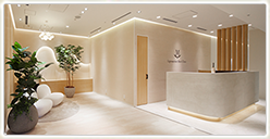 脂肪吸引の森クリニック